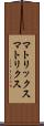 マトリックス Scroll