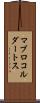 マブロコルダートス Scroll