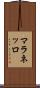 マラネッロ Scroll