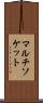 マルチソケット Scroll