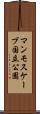 マンモスケーブ国立公園 Scroll