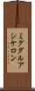 ミグダルアシケロン Scroll