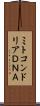 ミトコンドリアＤＮＡ Scroll