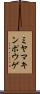 ミヤマキンポウゲ Scroll