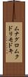 ムナグロムクドリモドキ Scroll