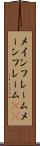 メインフレーム Scroll