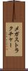 メガストラクチャー Scroll