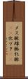 メス豚 Scroll