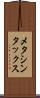 メタシンタックス Scroll