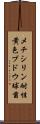メチシリン耐性黄色ブドウ球菌 Scroll