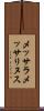 メッサラメッサリヌス Scroll