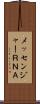 メッセンジャーＲＮＡ Scroll
