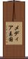 メディア王国 Scroll