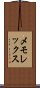 メモレックス Scroll