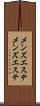 メンズエステ Scroll