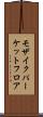 モザイクパーケットフロア Scroll
