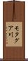 モタグア川 Scroll