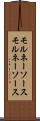 モルネーソース Scroll