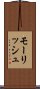 モーリッシュ Scroll