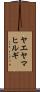 ヤエヤマヒルギ Scroll