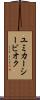 ユミカーシービオク Scroll