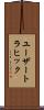 ユーザートラヒック Scroll