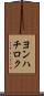 ヨンハチロク Scroll