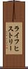 ライフヒストリー Scroll