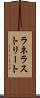 ラネラストリート Scroll