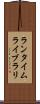 ランタイムライブラリ Scroll
