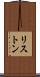 リストン Scroll