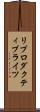 リプロダクティブライツ Scroll