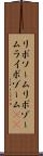 リボソーム Scroll