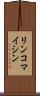 リンコマイシン Scroll