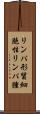 リンパ形質細胞性リンパ腫 Scroll