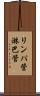 リンパ管 Scroll