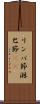 リンパ節 Scroll