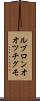ルブロンオオツチグモ Scroll