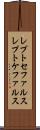 レプトセファルス Scroll