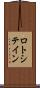 ロトシテイン Scroll