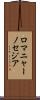ロマニャーノセジア Scroll