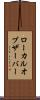 ローカルオブザーバー Scroll