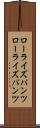 ローライズパンツ Scroll