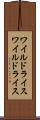 ワイルドライス Scroll