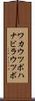 ワカウツボ Scroll
