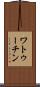 ワトゥーチン Scroll