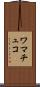 ワマチュコ Scroll