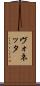 ヴォネッタ Scroll