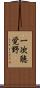 一次聴覚野 Scroll