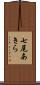 七尾あきら Scroll